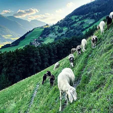 In Near Slopes Domek alpejski Piesendorf