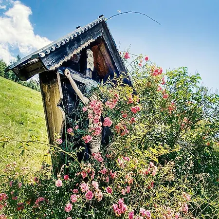 In Near Slopes