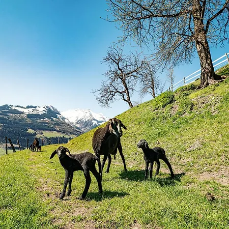 In Near Slopes Domek alpejski
